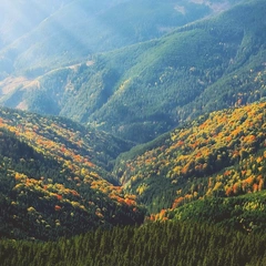 Floating in Serenity