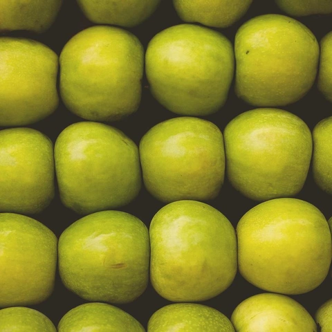 Electric Playtimeのジャケット画像