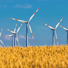 Cover art for Ascending Currents