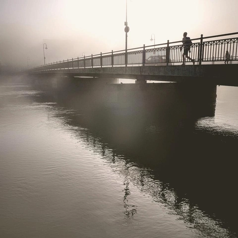 Alone in the Echoesのジャケット画像