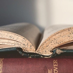 Coffee Shop Daydream