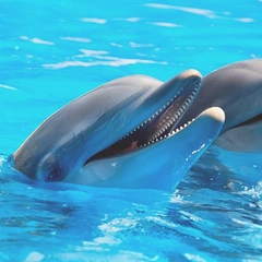 Digital Heartbeat in Neon