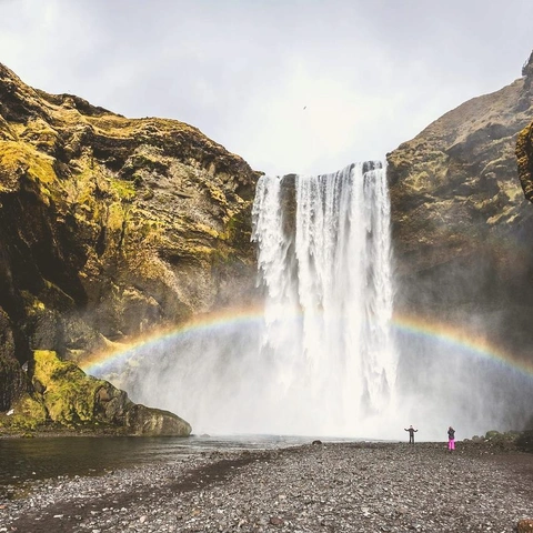 Fleeting Horizonsのジャケット画像