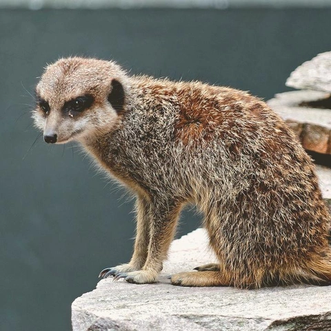 Arte da capa para Soft Reflections