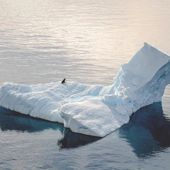 Cover art for Echoes in a Hollow Room