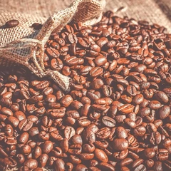 Girl from the Old Pier