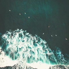 Pulse of the Neon Night