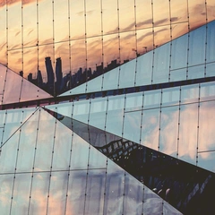 Shimmering Heartbeat of Tomorrow