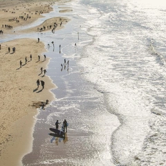 Polished Path Forward