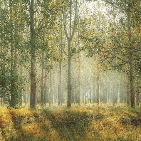 Cover art for Floating State