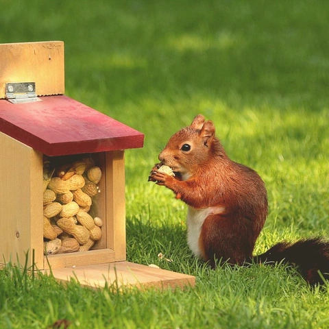 Cover art for A Pocketful of Whimsy