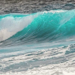 Legion of the Fallen Sky