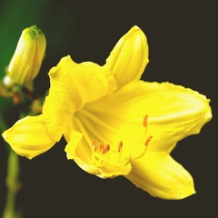 When the Silence Starts to Sing