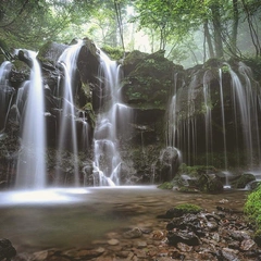 Cover art for Ethereal Reflection