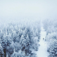 Stillness of a Memory