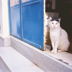 Sleepless In Slow Motion