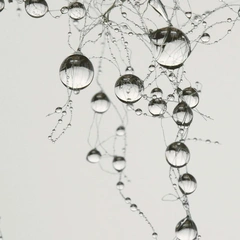 Sleepwalking Through the Stars