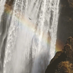 A Glimmer in the Distance