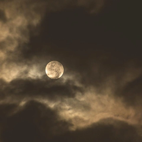 Pochette pour Evolving Shadows