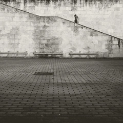 Cover art for Rise of the Concrete Jungle