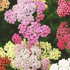 Cover art for Unstoppable Smile