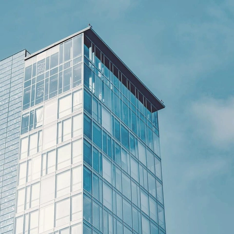 Cover art for Professional Playbook