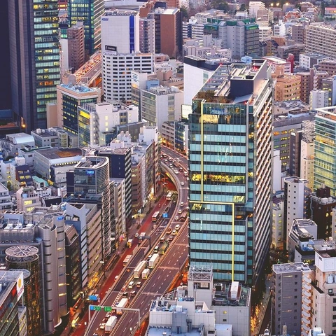 Portada para Incredible