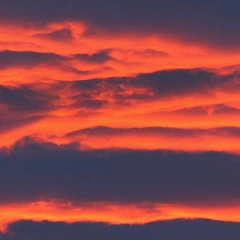 Cover art for Point Of No Return