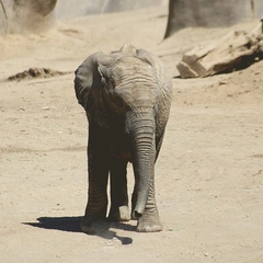 Nocturne for an Empty House
