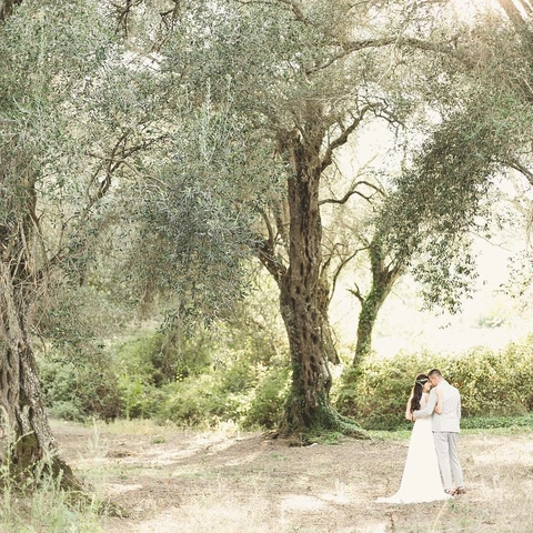 Cover art for Windswept Memories