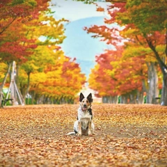 Whispers from the Porch