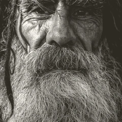 Cover art for Elegy of the Single Violin