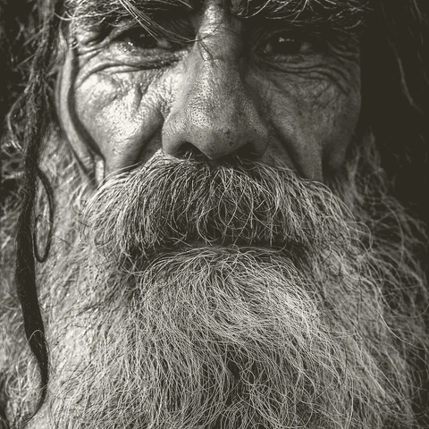 Cover art for Elegy of the Single Violin