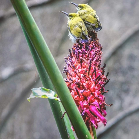 Pochette pour Inner Sanctuary