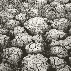 The Weight of Absence