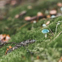 On The Nature Of Dawnlight