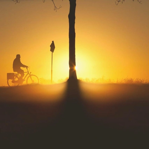 Mountain Strollのジャケット画像