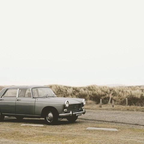 Portada para Crimson Lines