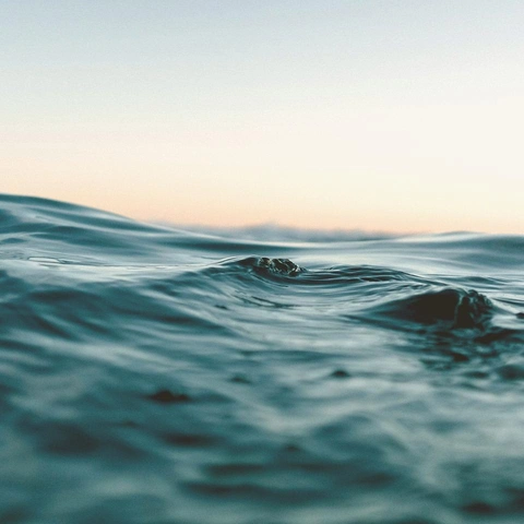 Pochette pour Soft Focus Daydream