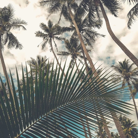 Cover art for Quiet Office Daydream