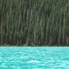 Cover art for River In Quiet Light