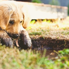 Pocketful Of Happy Chords