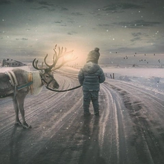 Winter Light Whispers