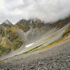 A Glimpse of Enchantment