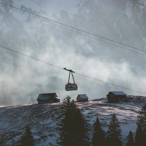 Arte da capa para Tear and Triumph