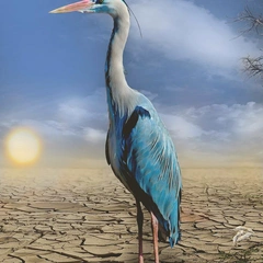 A Moment in the Ether