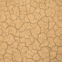 Cover art for Elegy for One