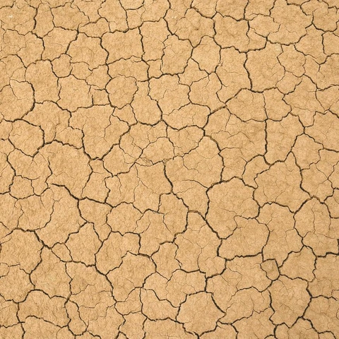 Cover art for Elegy for One