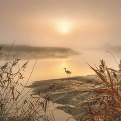 Whispers of a Past Dream