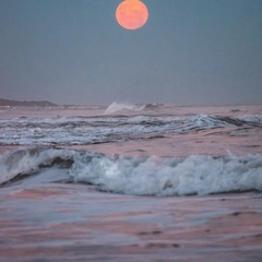 Echoes Before the Uprising